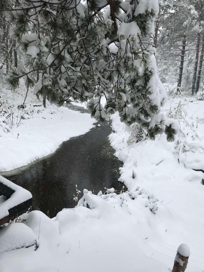 Dmk Villa Divčibare Dış mekan fotoğraf